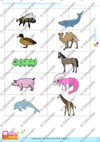 Inversions syllabiques et chimères d'animaux