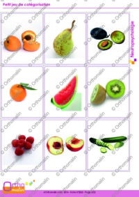 Petit jeu de catégorisation
