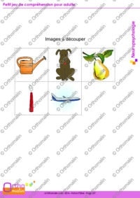 Petit jeu de compréhension pour adulte