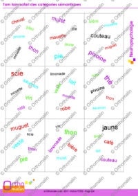 Tam tam safari des catégories sémantiques