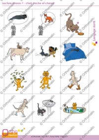 Lecture niveau 1 : chat, vache et cheval