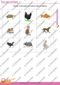 Dans mon animalerie