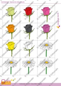 Inclusion - épreuve des fleurs