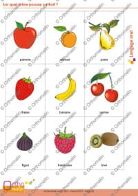 Sur quel arbre pousse ce fruit ?