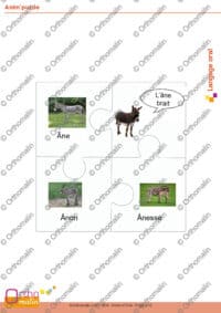 Anim'puzzle