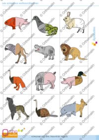 Les animaux extraordinaires