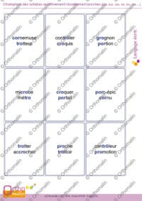 Champions des syllabes auditivement/visuellement proches (bro, bor, dor, tor, tro, cro …)