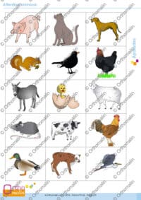 Attention animaux