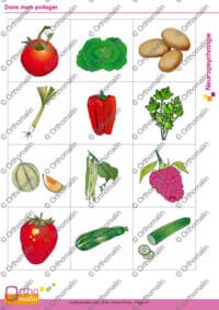 Dans mon potager