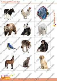 Animaux et lieux de vie