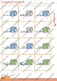 Jeu des phrases noms adjectifs