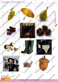 Anagrammes de l'automne (2)