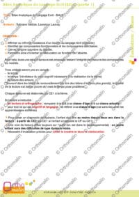 Bilan Analytique du Langage Ecrit (BALE)
