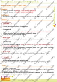 Bilan Analytique du Langage Ecrit (BALE) (partie 2)