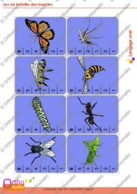Jeu de bataille des insectes