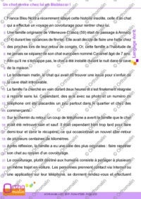 Un chat rentre chez lui en Blablacar !