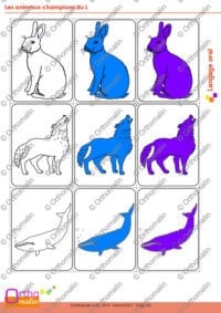 Les animaux champions du L