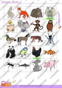 Animaux en désordre