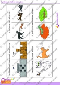 Syntaxe : relatives en "que"