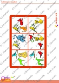 Animaux en couleur