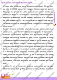 Texte insolite - Le street-art embellit la ville