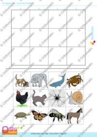 Images en coordonnées