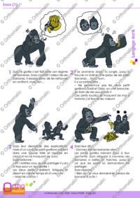 Zozo (1)