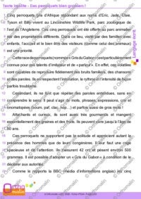 Texte insolite - Des perroquets bien grossiers !