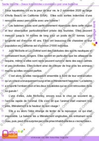 Texte insolite - Deux kayakistes « avalées » par une baleine