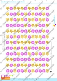 Les fleurs - fonctions exécutives