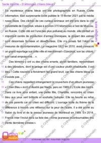 Texte insolite - D'étranges chiens bleus !