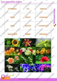 Dans ma jardinière de fleurs