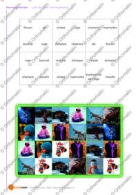 Loto de l'hiver (version photos)