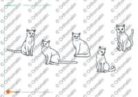 Relatives les chats (qui, dont, que)