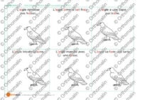 Aigle et baleine : lecture simple avec graphies "ai-ei-et"