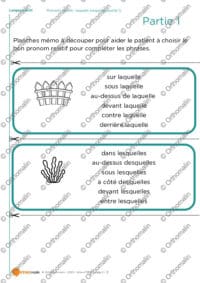 Pronoms relatifs - laquelle, lesquelles (partie 1)