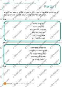 Pronoms relatifs - lequel, lesquels (partie 2)