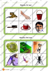 Loto des sons /s/ -/ch/ à l'oral (mots proches et paires minimales)