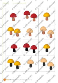 Les champignons de la forêt