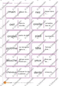 Les expressions idiomatiques - corps