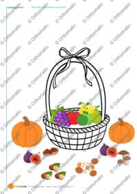 Récolte d'automne - consignes