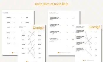 Jeu à relier texte libre Créez votre activité "A relier" avec uniquement votre texte libre